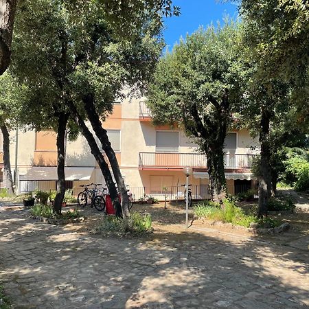 Appartamento Giardino Ovest - A Pochi Passi Dal Mare San Vincenzo Esterno foto